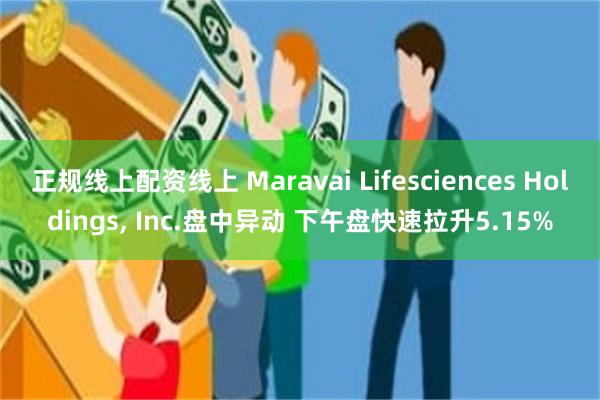 正规线上配资线上 Maravai Lifesciences Holdings, Inc.盘中异动 下午盘快速拉升5.15%