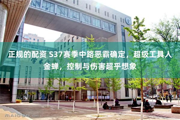 正规的配资 S37赛季中路恶霸确定，超级工具人金蝉，控制与伤害超乎想象