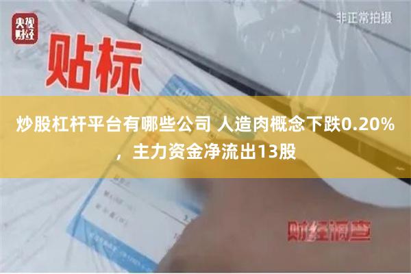 炒股杠杆平台有哪些公司 人造肉概念下跌0.20%，主力资金净流出13股