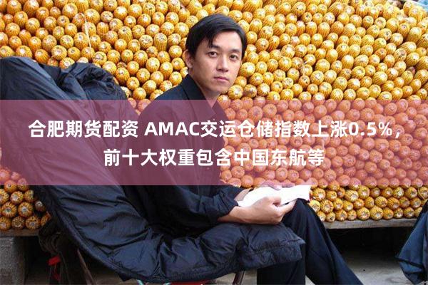 合肥期货配资 AMAC交运仓储指数上涨0.5%，前十大权重包含中国东航等