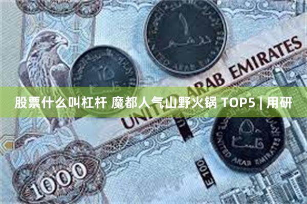 股票什么叫杠杆 魔都人气山野火锅 TOP5 | 用研