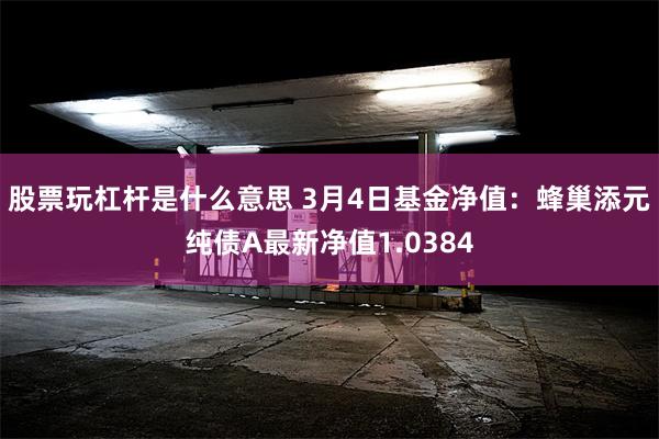 股票玩杠杆是什么意思 3月4日基金净值：蜂巢添元纯债A最新净值1.0384